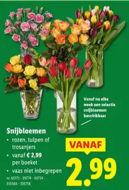 Lidl Snijbloemen aanbieding