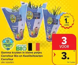Carrefour Gamma kruiden in kleine potjes Carrefour Bio en Kwaliteitsketen Carrefour aanbieding