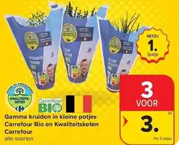 Carrefour Gamma kruiden in kleine potjes carrefour bio en kwaliteitsketen carrefour aanbieding