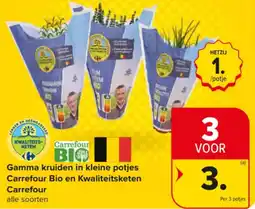Carrefour Market Gamma kruiden in kleine potjes Carrefour Bio en Kwaliteitsketen Carrefour aanbieding