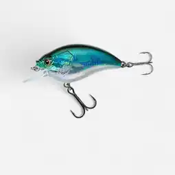 Decathlon Plug CRANKBAIT SHALLOW RUNNER WXM CRKSR 53 F blauwe rug aanbieding