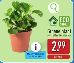 ALDI Groene plant aanbieding