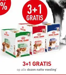 Maxi Zoo Op alle dozen natte voeding aanbieding