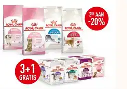 Maxi Zoo Royal canin kitten aanbieding