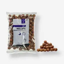Decathlon BOILIES VOOR KARPER WELLMIX 20 MM 1 KG KNOFLOOK aanbieding