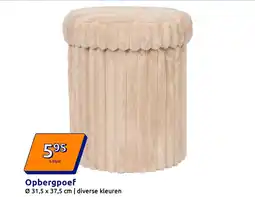 Action Opbergpoef aanbieding