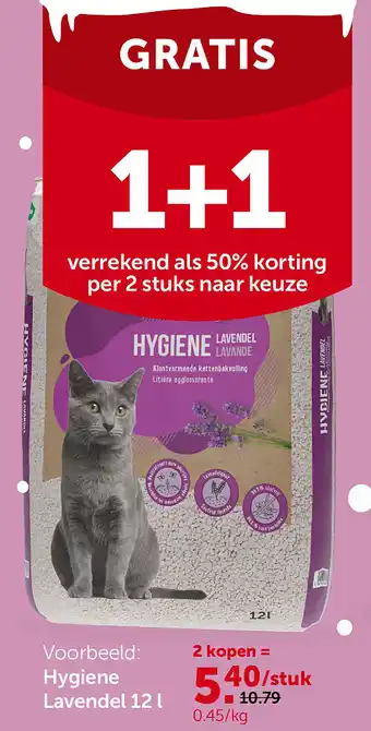 Hygiene Lavendel 12 l