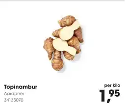 Hanos Topinambur Aardpeer aanbieding