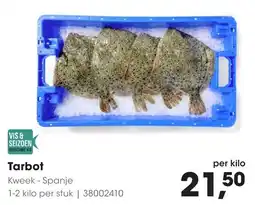 Hanos Tarbot Kweek aanbieding