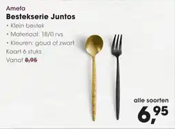 Hanos Amefa Bestekserie Juntos aanbieding