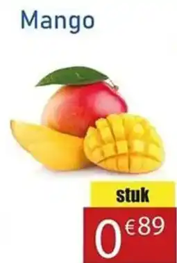 Tanger Markt Mango aanbieding