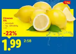 Lidl Citroenen XXL aanbieding