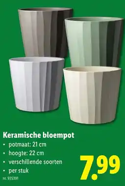 Lidl Keramische bloempot aanbieding