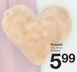 Zeeman Kussen aanbieding