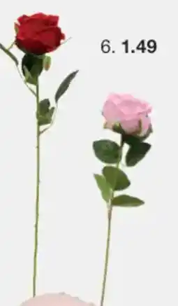 Zeeman Kunstroos aanbieding