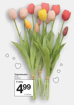 Zeeman Tulpenboeket aanbieding
