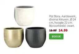 Intratuin Pot Bora aanbieding