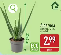 ALDI Aloe vera aanbieding