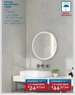 Zelfbouwmarkt Cosibel Wandpaneel Irene aanbieding