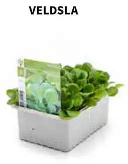 Horta VELDSLA aanbieding