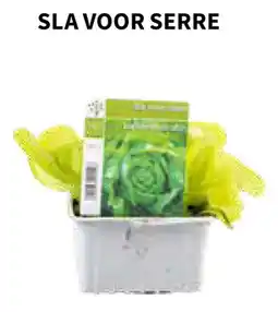 Horta Sla voor serre aanbieding