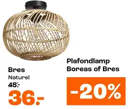 Kwantum Bres Naturel aanbieding