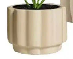 Kwantum Bloempot Carvico aanbieding