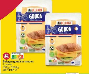 Belegen Gouda In Sneden