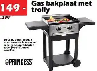 Gas bakplaat met trolly