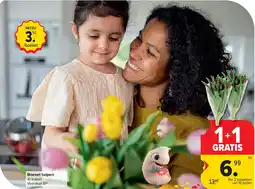Carrefour Boeket tulpen aanbieding