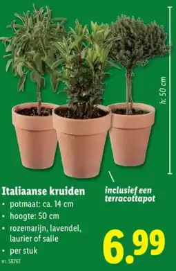 Lidl Italiaanse kruiden aanbieding