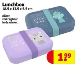 Kruidvat Lunchbox aanbieding