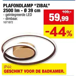 Hubo Plafondlamp Zibal aanbieding
