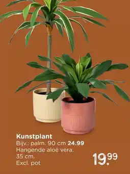 Xenos Kunstplant aanbieding