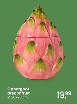 Xenos Opbergpot dragonfruit aanbieding