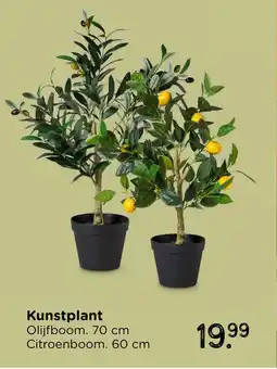 Xenos Kunstplant aanbieding