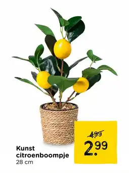 Xenos Kunst citroenboompje aanbieding