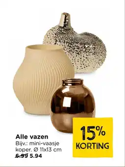 Xenos Alle vazen aanbieding