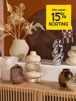 Xenos Alle vazen aanbieding
