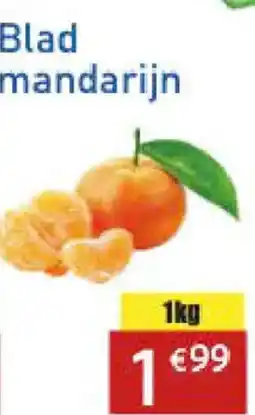 Tanger Markt Blad mandarijn aanbieding