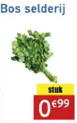 Tanger Markt Bos Selderij aanbieding