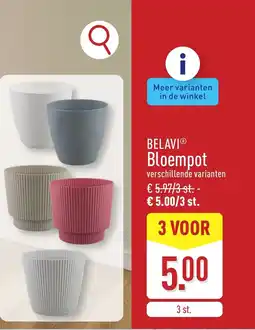 ALDI Belavi bloempot aanbieding