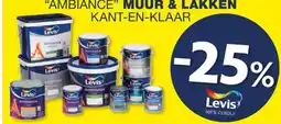 Hubo AMBIANCE MUUR & LAKKEN KANT-EN-KLAAR aanbieding