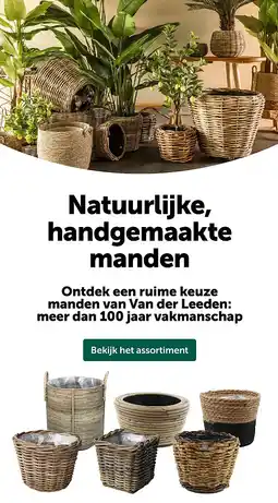 AVEVE Natuurlijke, handgemaakte manden aanbieding