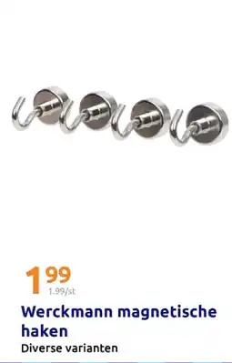 Action Werckmann magnetische haken aanbieding