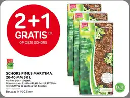 Brico Schors Pinus Maritima 20-40 mm aanbieding