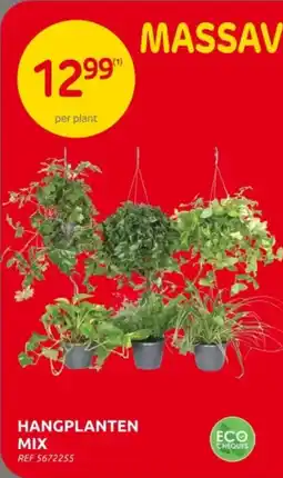 Brico Hangplanten Mix aanbieding