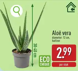 ALDI Aloë vera aanbieding