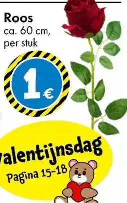 TEDi Roos aanbieding