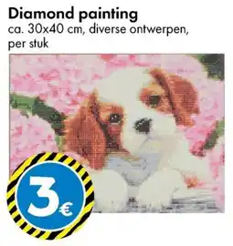 TEDi Diamond painting aanbieding